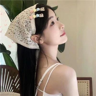 虎将长征